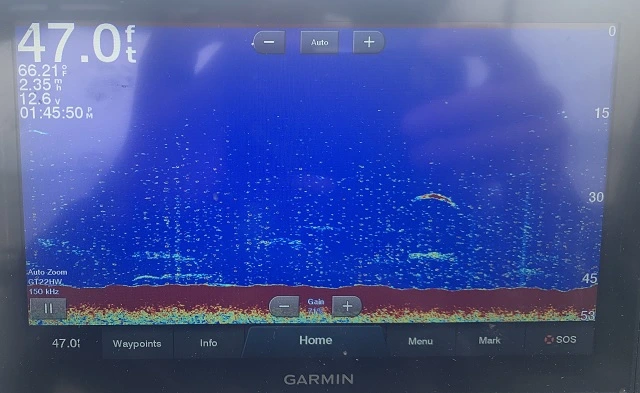 Garmin Fish Finders Setup Screen