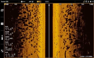 Side-imaging Sonar fish finder screenshot
