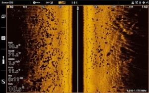 Side-imaging Sonar screenshot
