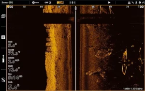 seeing fish on the side imaging sonar screen shot